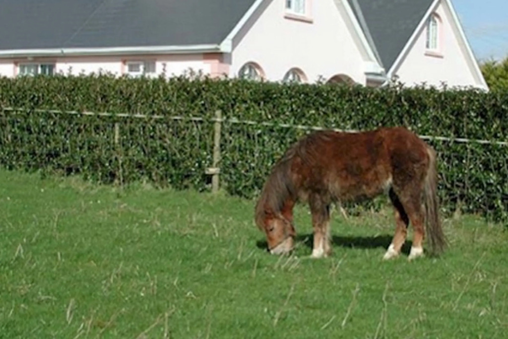 An Rosalithir