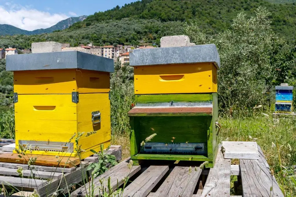 Arvé Castelbianco - B&B e Appartamento