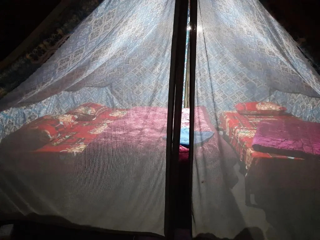 Jungle Live Inn Camps & Resorts