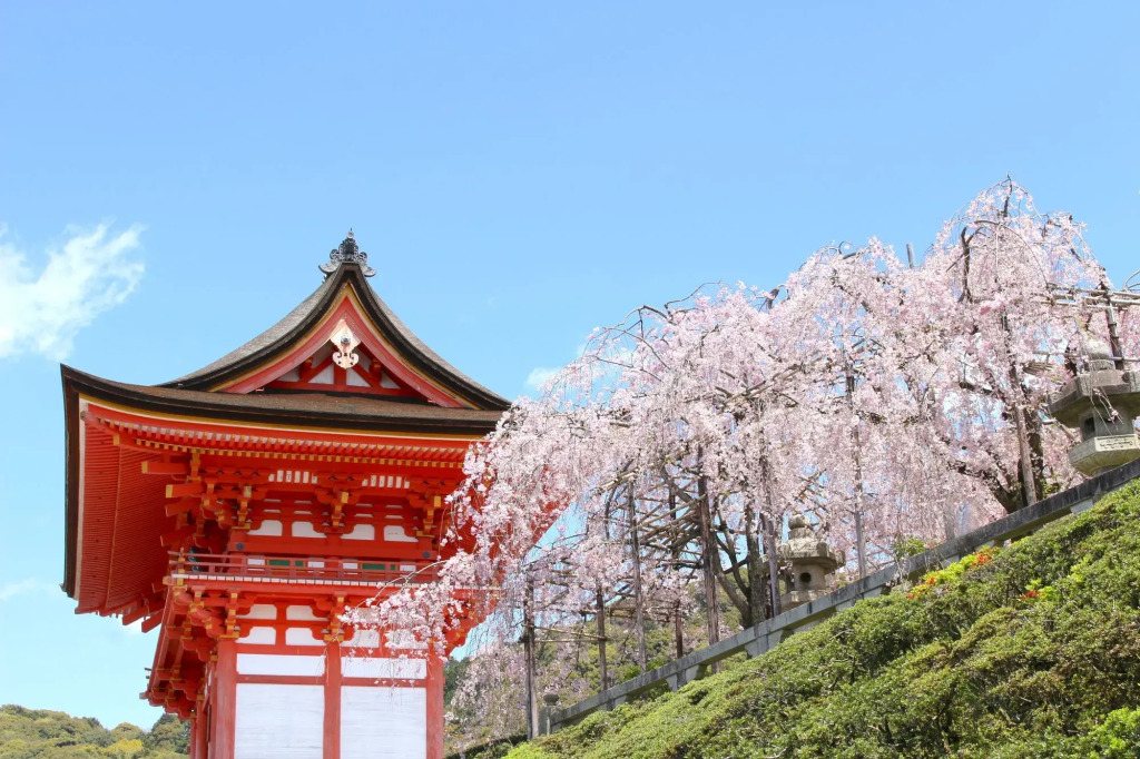Stay SAKURA Kyoto Nijo Seasons