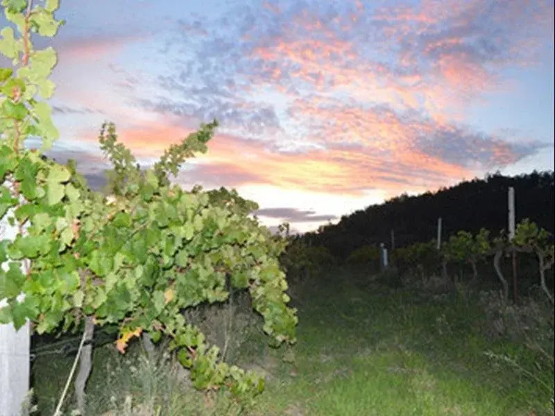 Sancerre Estate