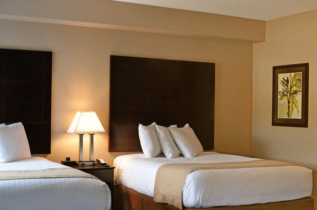 Qube Hotel - Polk City