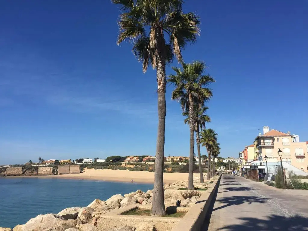 Wix Playa Puerto Sherry