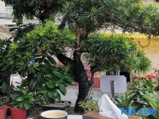 Shangshan Road,DinghuDistrict,ZhaoqingAgriculturalSchool northeast gate  Fang HotelFang Hotel