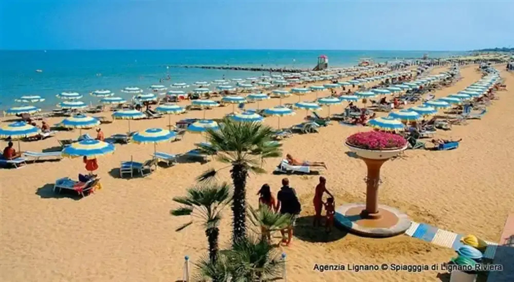 Lignano Pineta near Beach