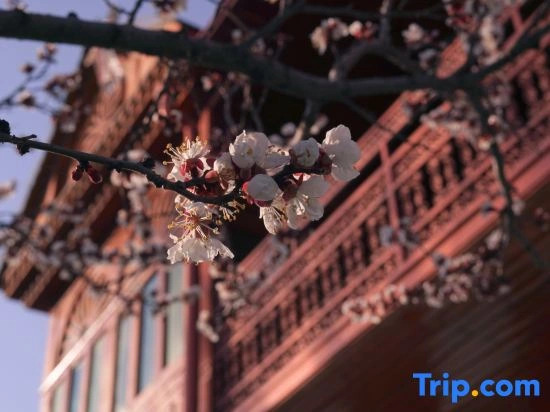 Hi YiLi·blue lane villa(Yili Old Town Kazanqi Branch)