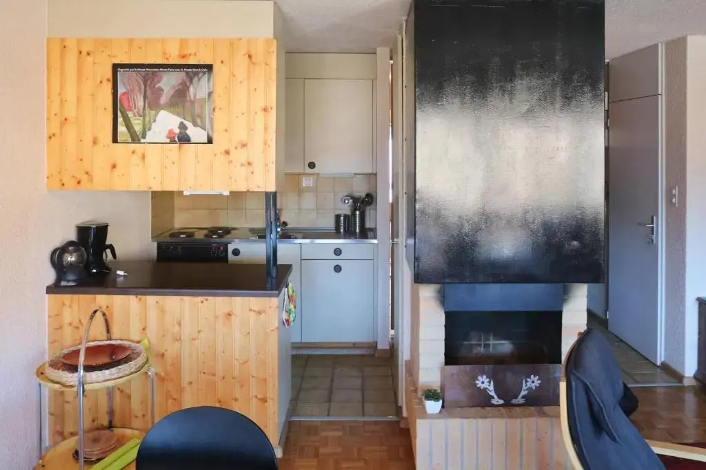 Appartement à 200m de la télé-cabine de Vercorin