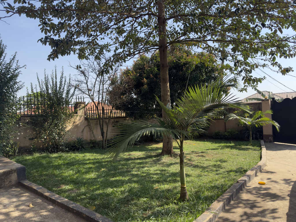 Palm Suites Jinja