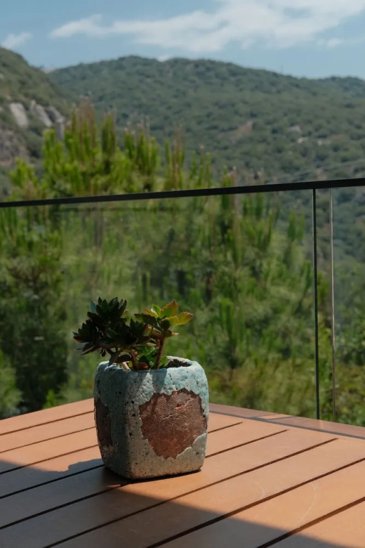 Kaktus Suites
