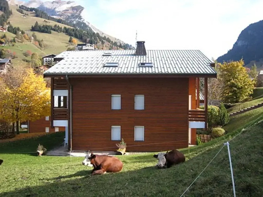 Appartement La Clusaz, 1 pièce, 4 personnes - FR-1-459-61