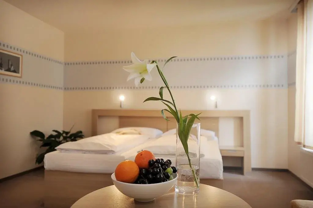 Hotel Biograf