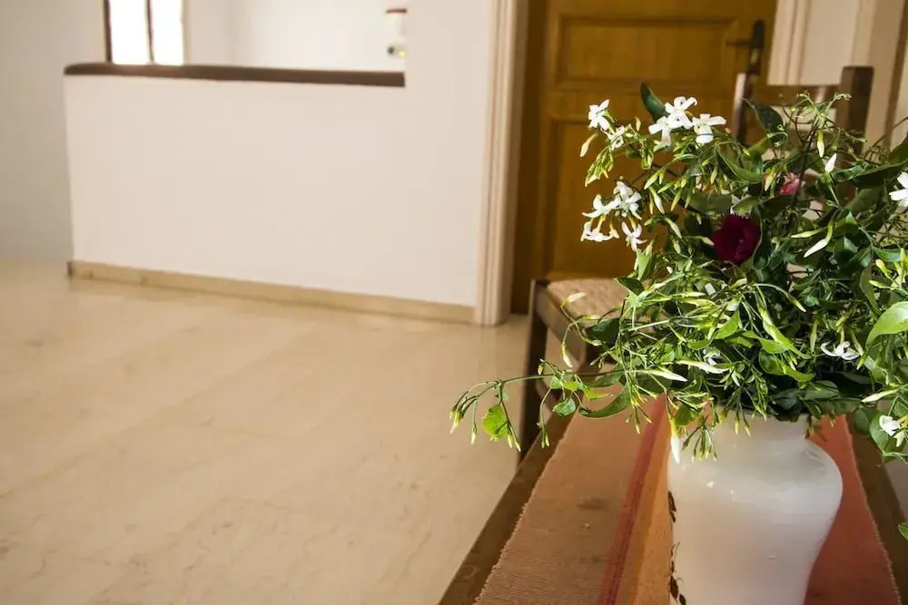 Hotel Adonis