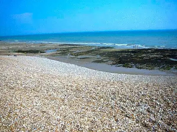 The Albany Rooms Bexhill