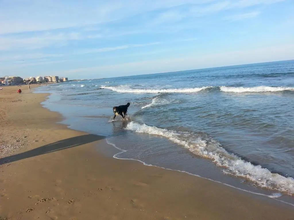 La Mata & Sea