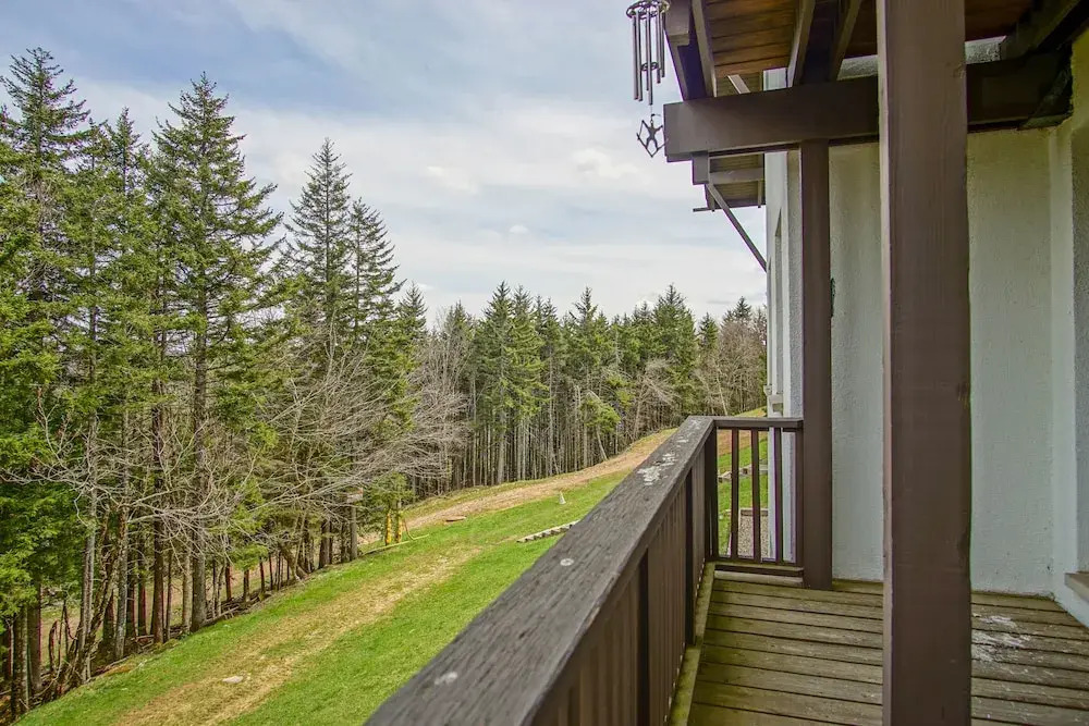 Whistlepunk #11: 2 Bedroom, 2 Bath: Wood Fireplace.central Location