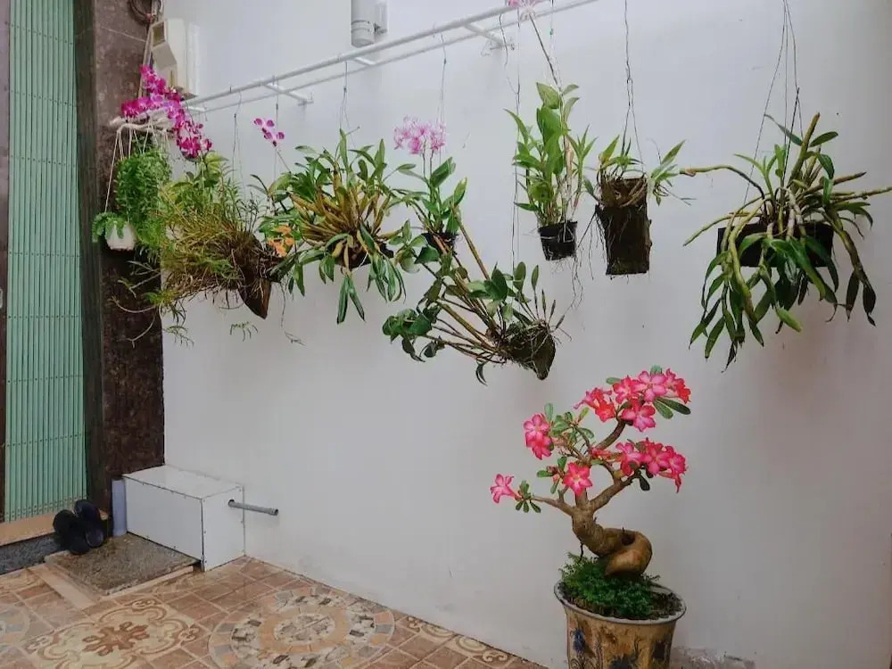 Melody Homestay Quy Nhơn