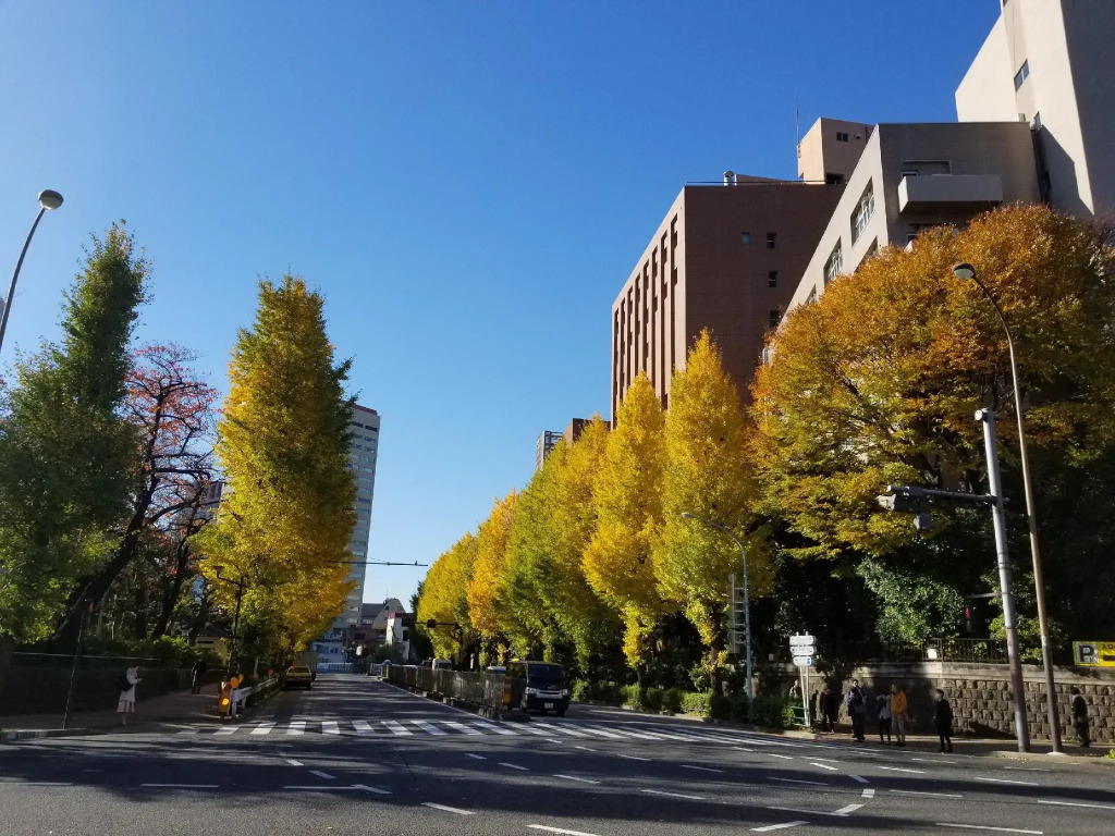 Hotel Tokyo Garden Palace