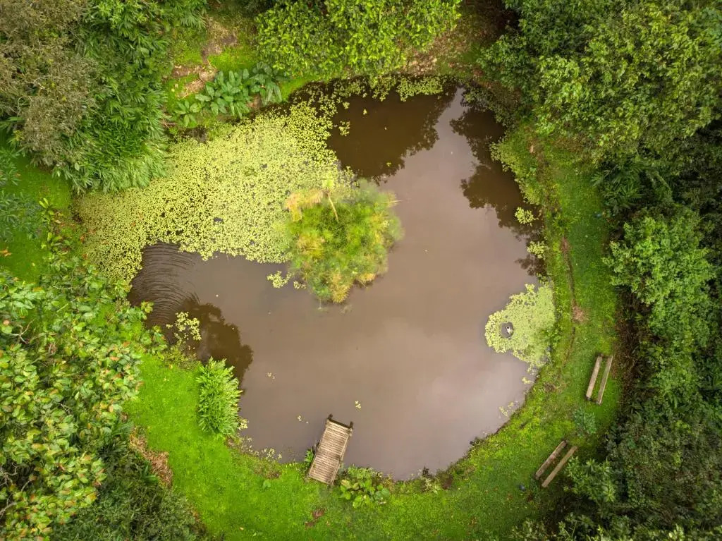 Sacha Urco Lodge -Private Cloud Forest Reserve in Mindo- Lugar remoto- 4x4 recommended