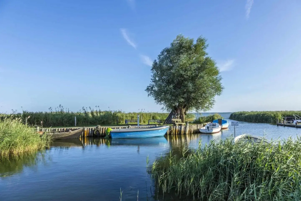 FeWohnung Nele am Meer in Zempin