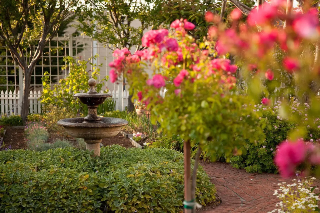 Carter House Inns