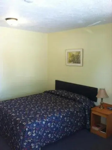 Ace Lodge