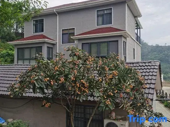 Yan's Courtyard