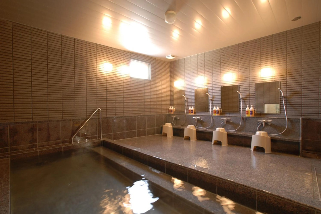 AB Hotel Okazaki