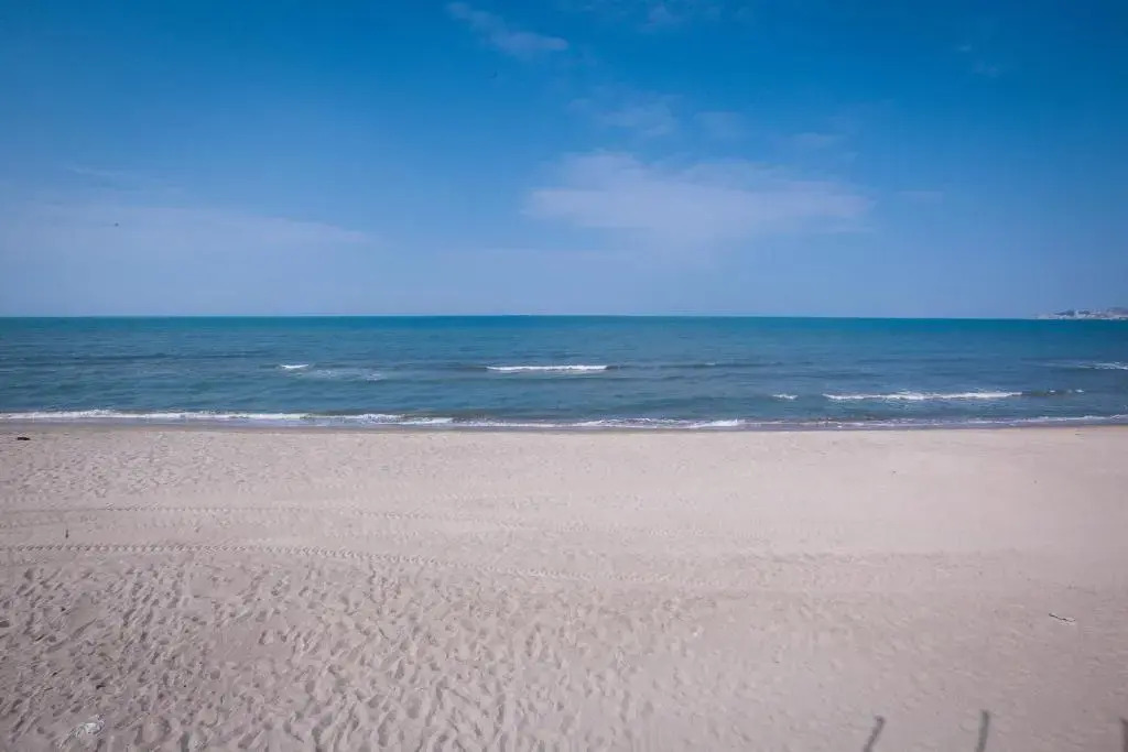 Pine-Tree Apt w/ Private Garden 50 m from the Sea
