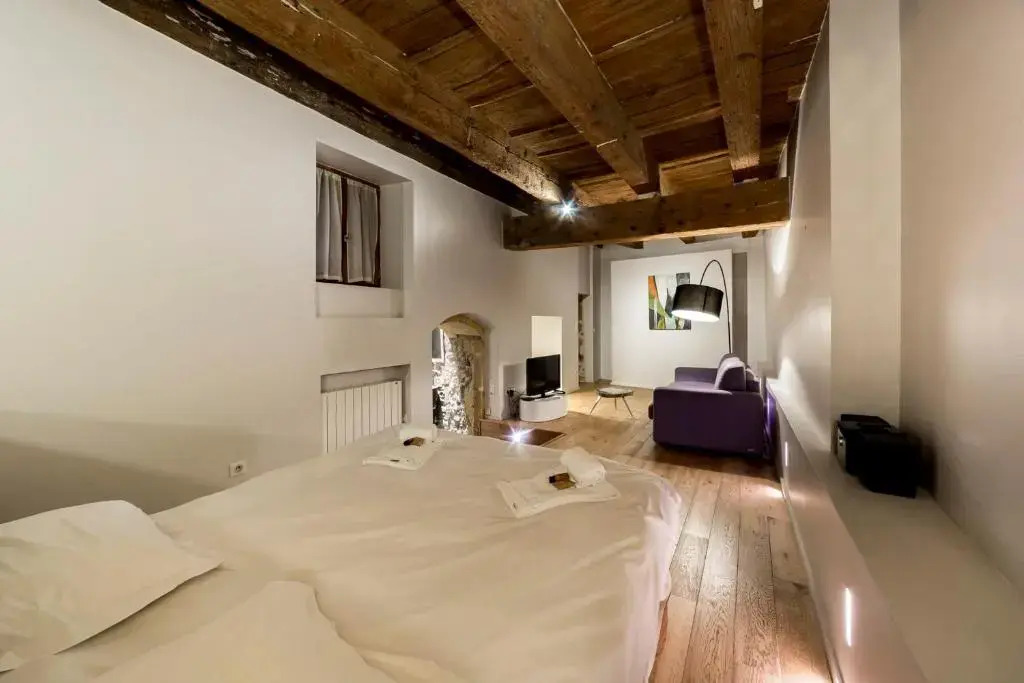 La Suite Miroirs - 46sq m flat in the heart of Vieux Lyon