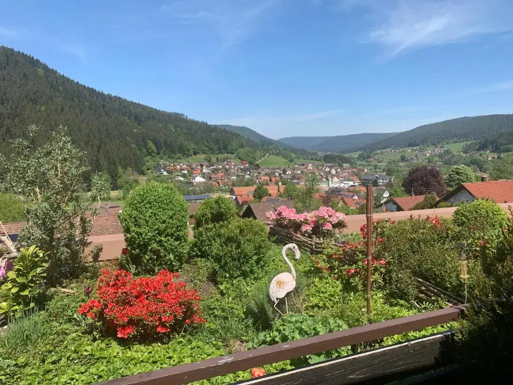 Appartement mit herrlicher Aussicht übers Murgtal