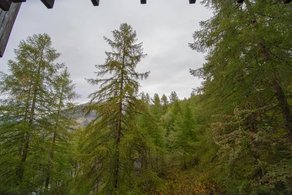 Agence des Orres - Les Ecrins - Studio - ECR412
