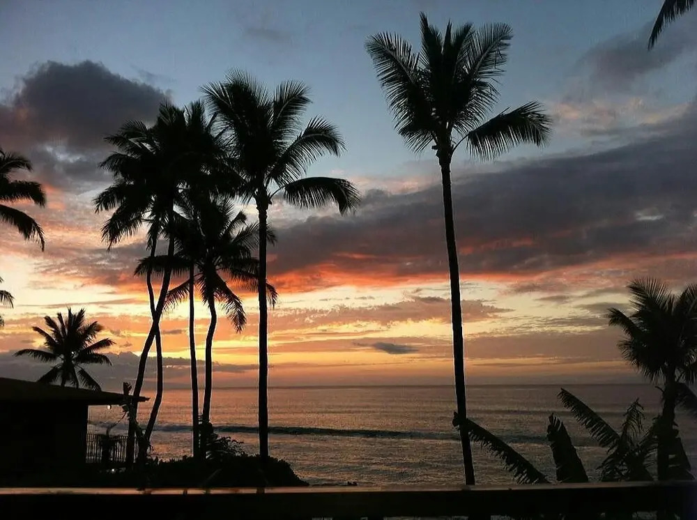 Paki Maui 207 by RedAwning