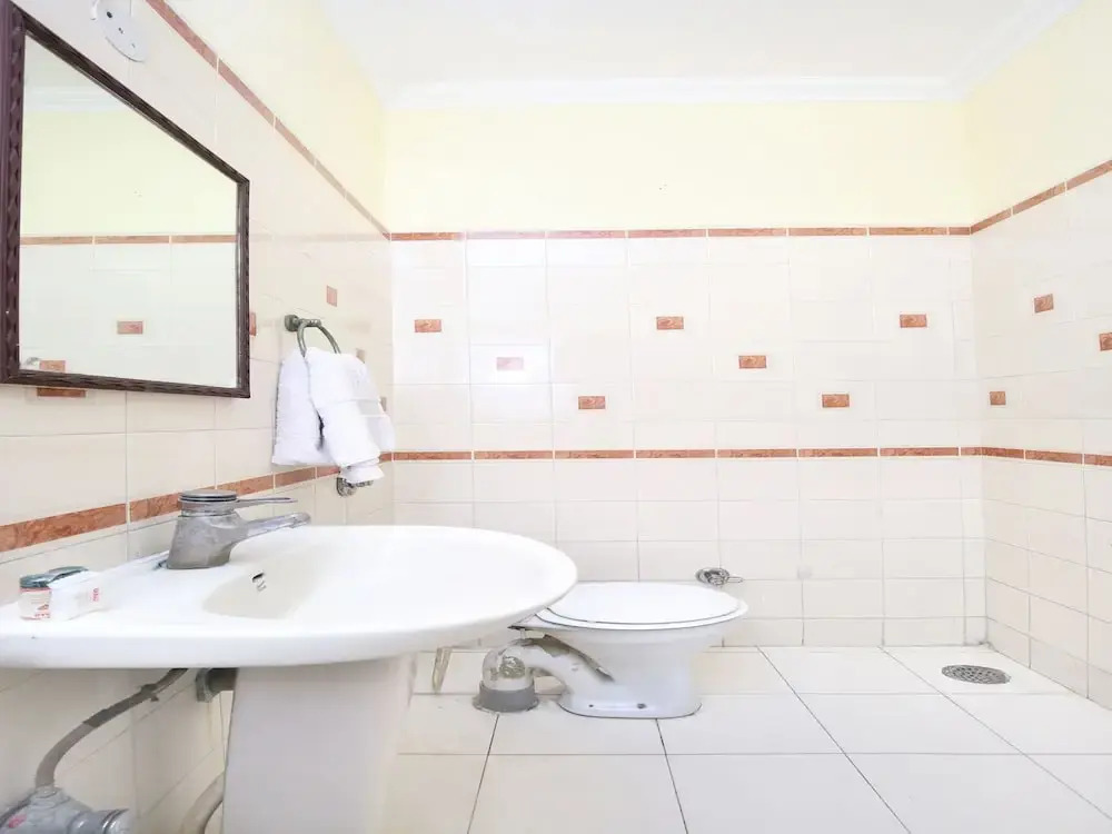 OYO 15667 Hotel Anand