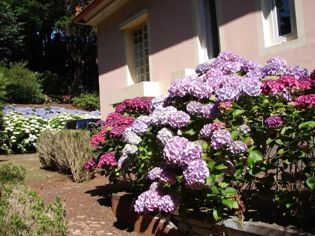 Casa da Lena