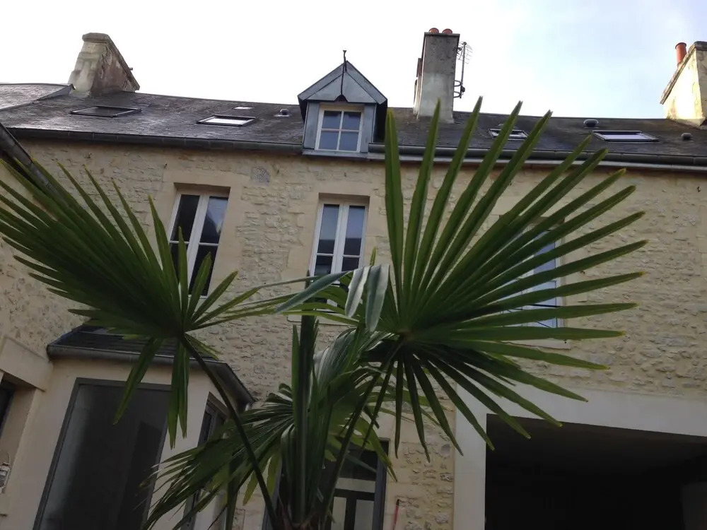 Appartement Camellia Bayeux Centre