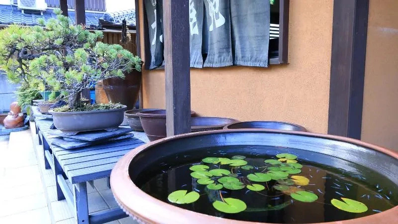 Ryori Ryokan Otoriien