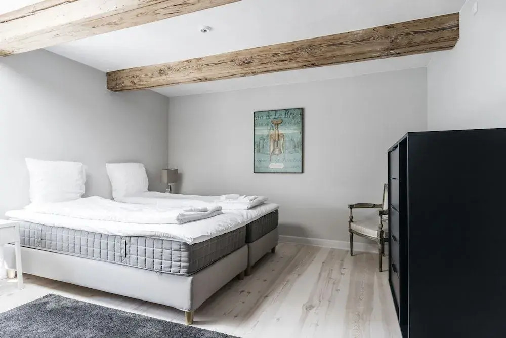 Grand Apartment in Copenhagen