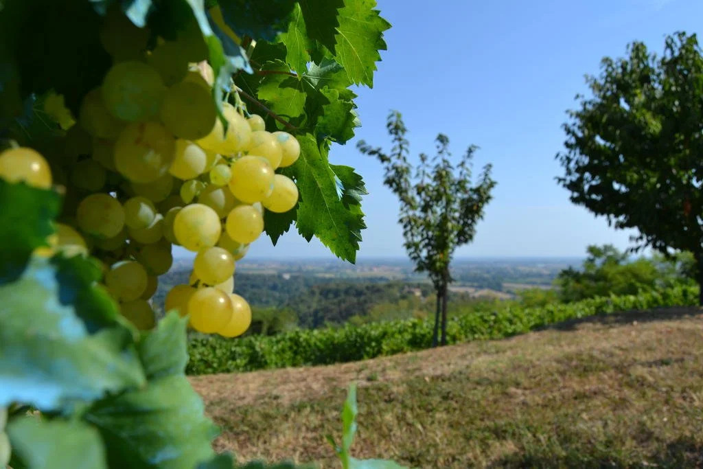 Country House Bucaneve Colli Euganei