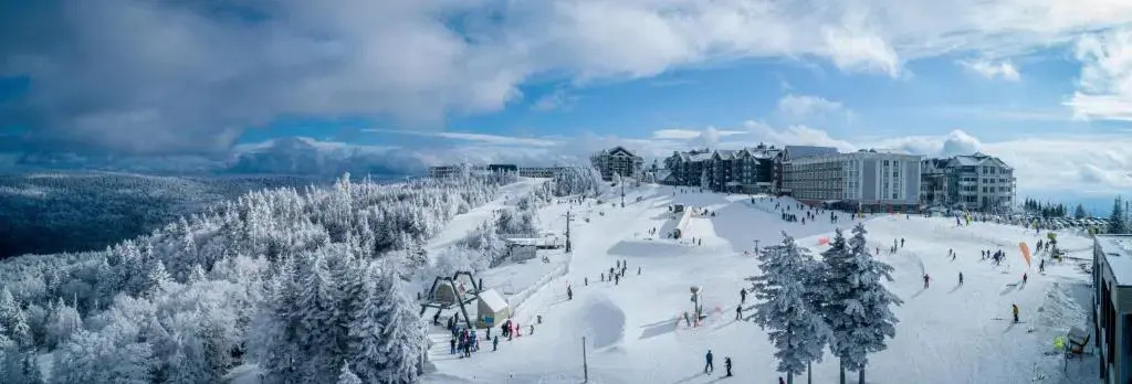 ML 294 Ski-InOut Slope Views Steps to Ballhooter Sleeps 6