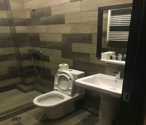 Hotel Bakuriani-melisi