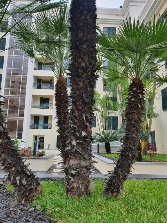 Suncoast Residence V (Free parking)