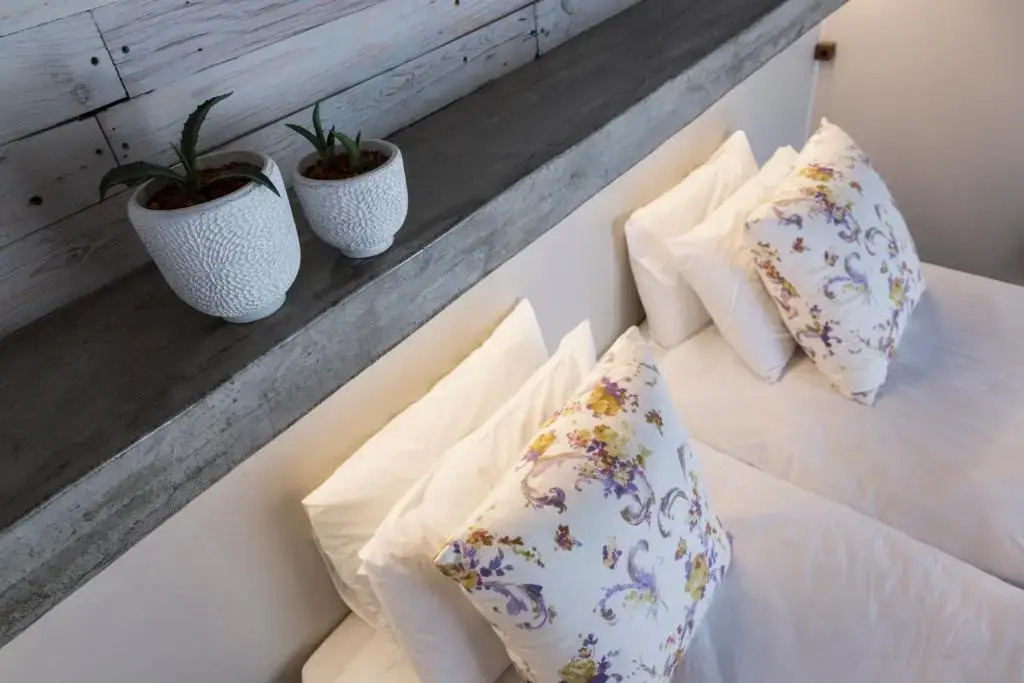 Organic Square Guesthouse