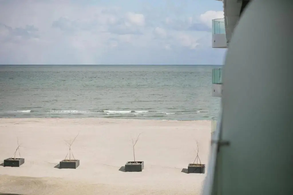 Sea On Mamaia