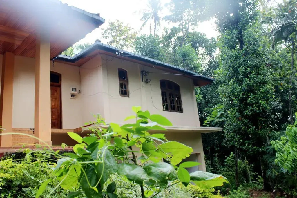 Amrita Homestay