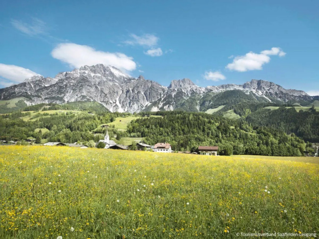 Das Stadthaus Saalfelden am Steinernen Meer