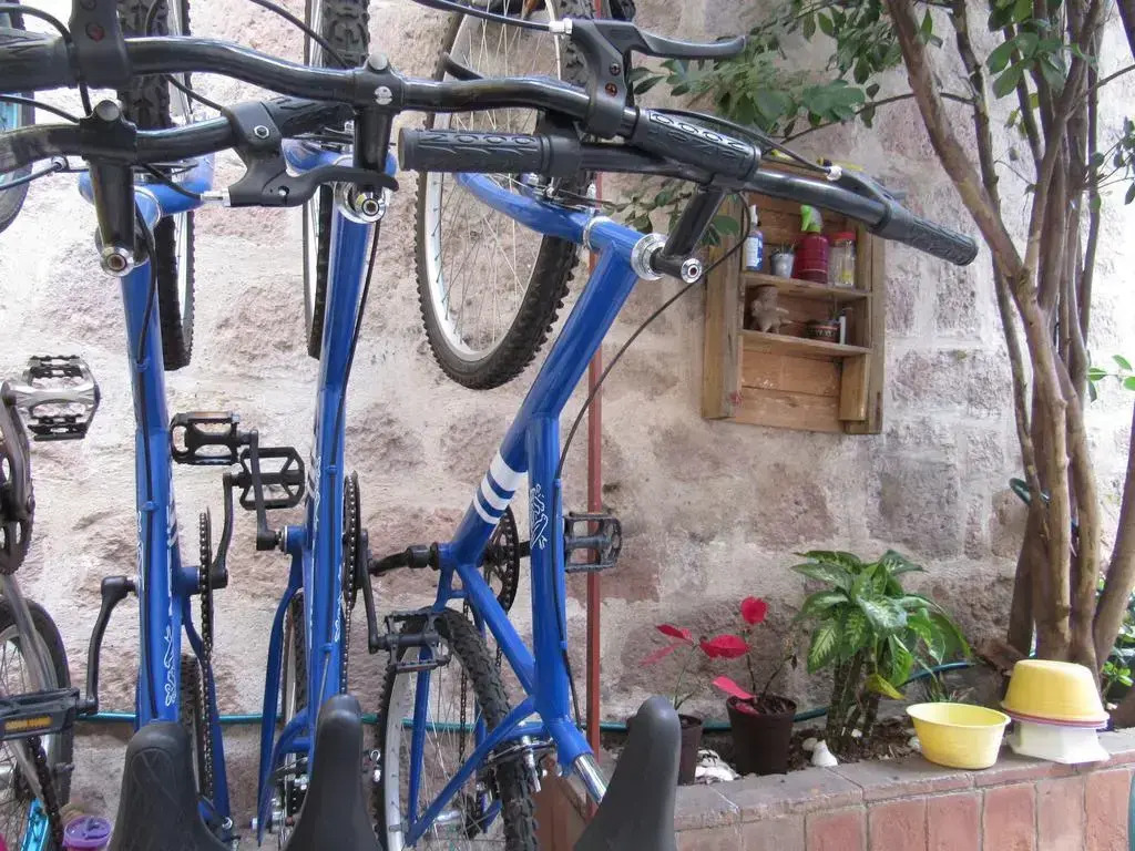 The Only Backpackers Morelia