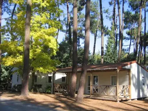 Flower Camping Au Bois des Biches
