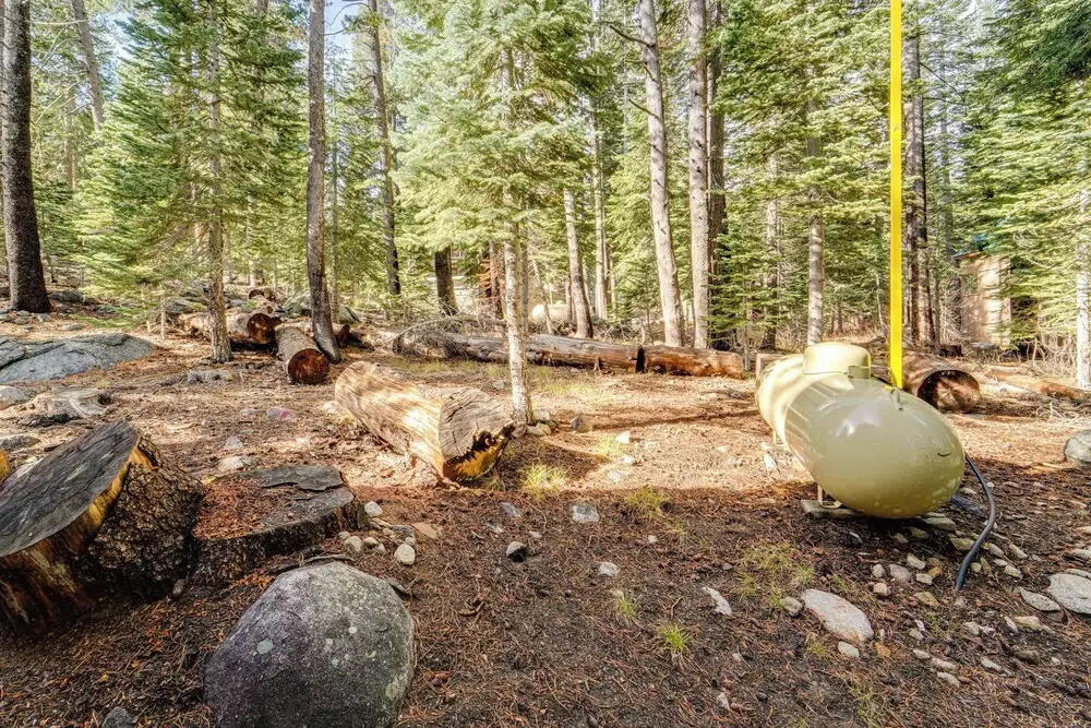 Near Slopes, Donner Lake & Trails! Woodsy Retreat