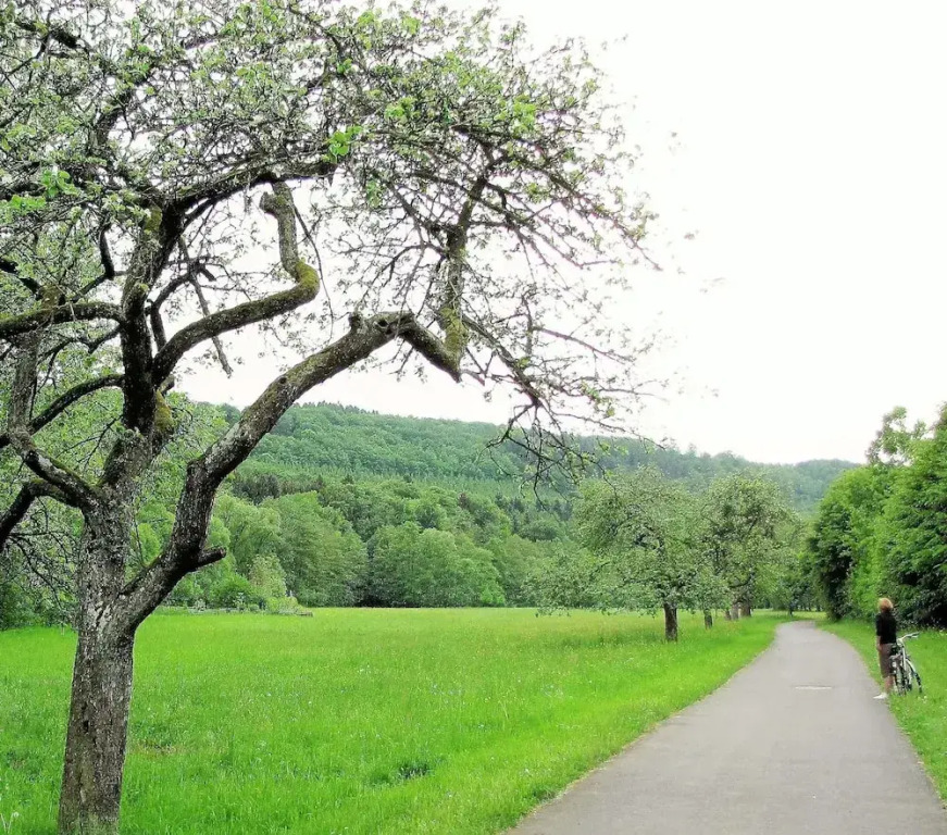 Spacious Apartment in Vulkaneifel