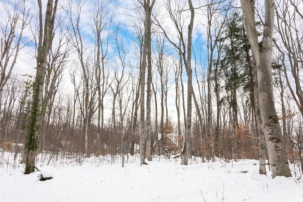 Sugarloaf Chalet 3BDR Loft 2510